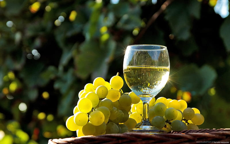 White Wine - 150ml